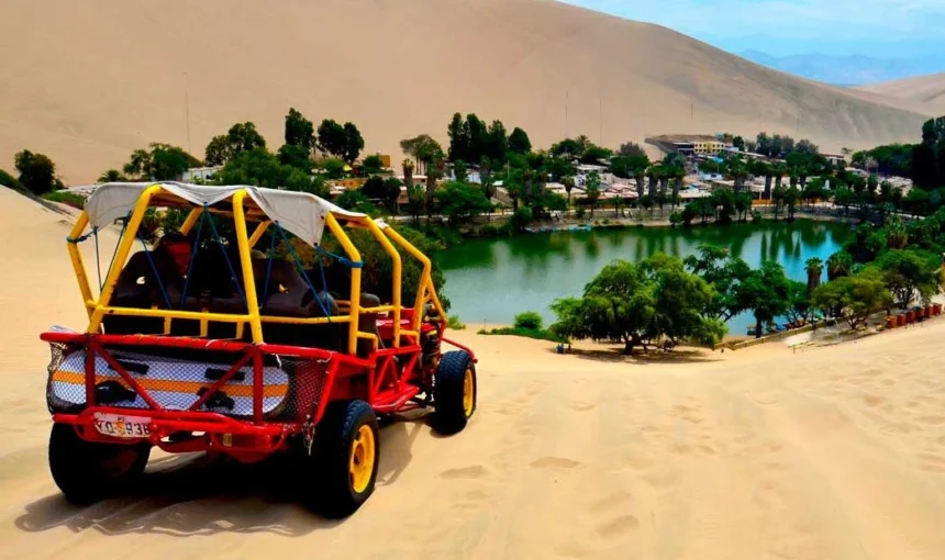 Full Day Paracas – Ica