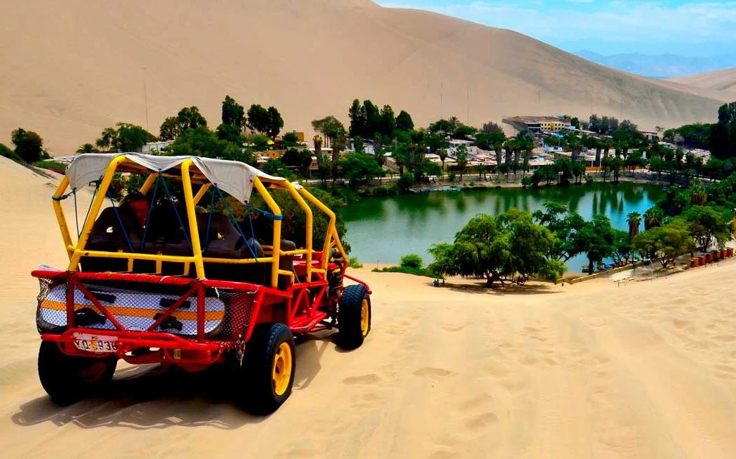 Full Day Paracas - Ica