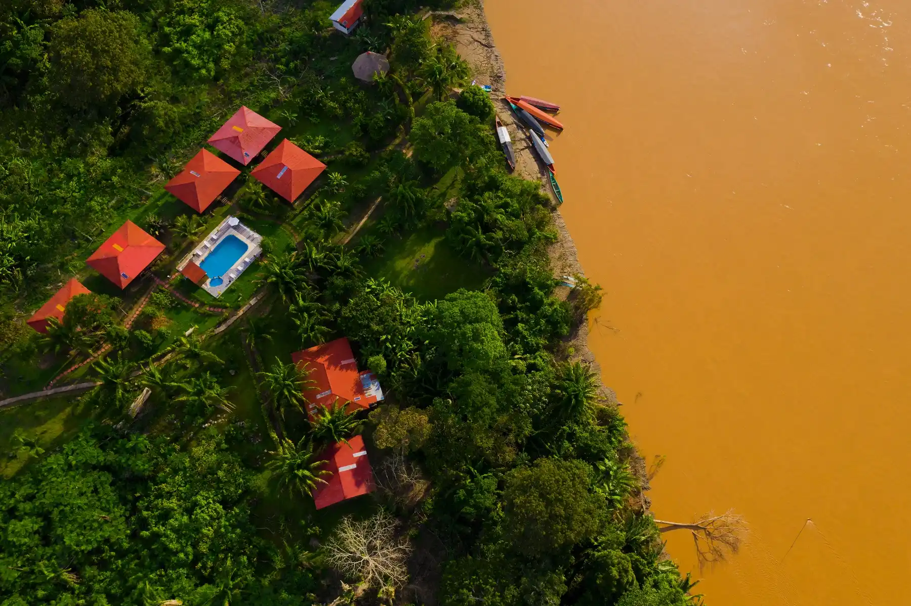 Expedición en la Amazonía